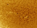 Bild2AR12820102174mmam270421farb120201a