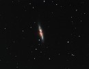 M82 CD