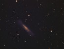 NGC3628 45min cda1 5a filtered