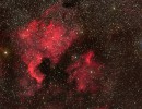 ngc7000 mf