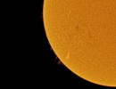 fdc210 16 l4 ap1136