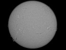 fdnorm10 22 l4 ap3760